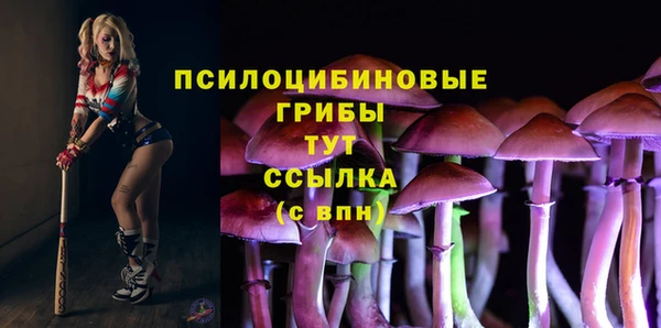 apvp Арсеньев