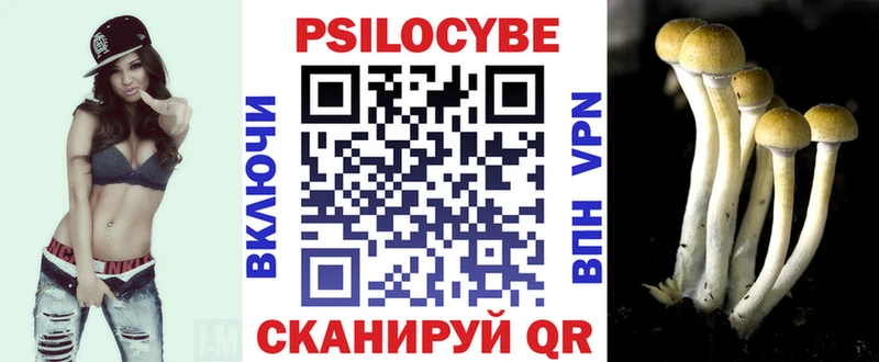 Галлюциногенные грибы Psilocybe  Лермонтов 